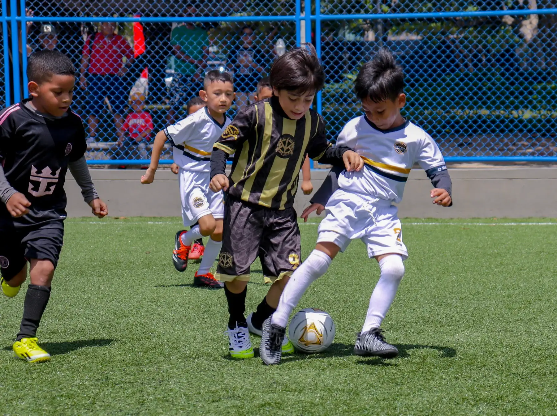 Categoría Kids