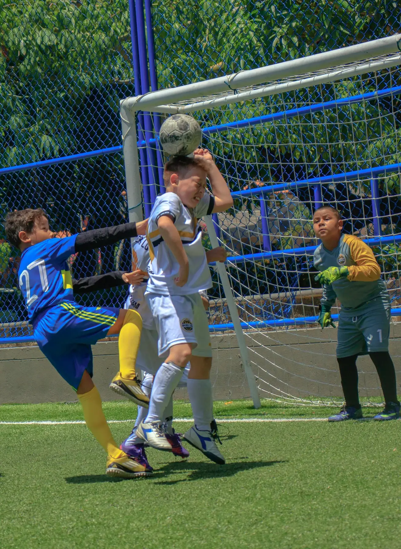 Categoría Pre Junior